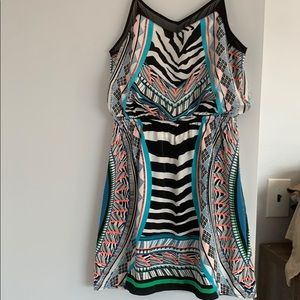 Express zebra print dress